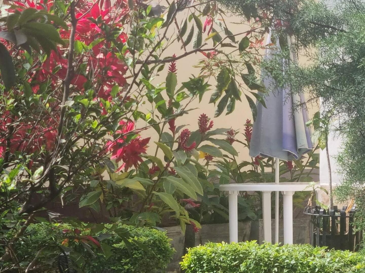 Tout confort avec jardin entrée Bastos Yaoundé Esterno foto