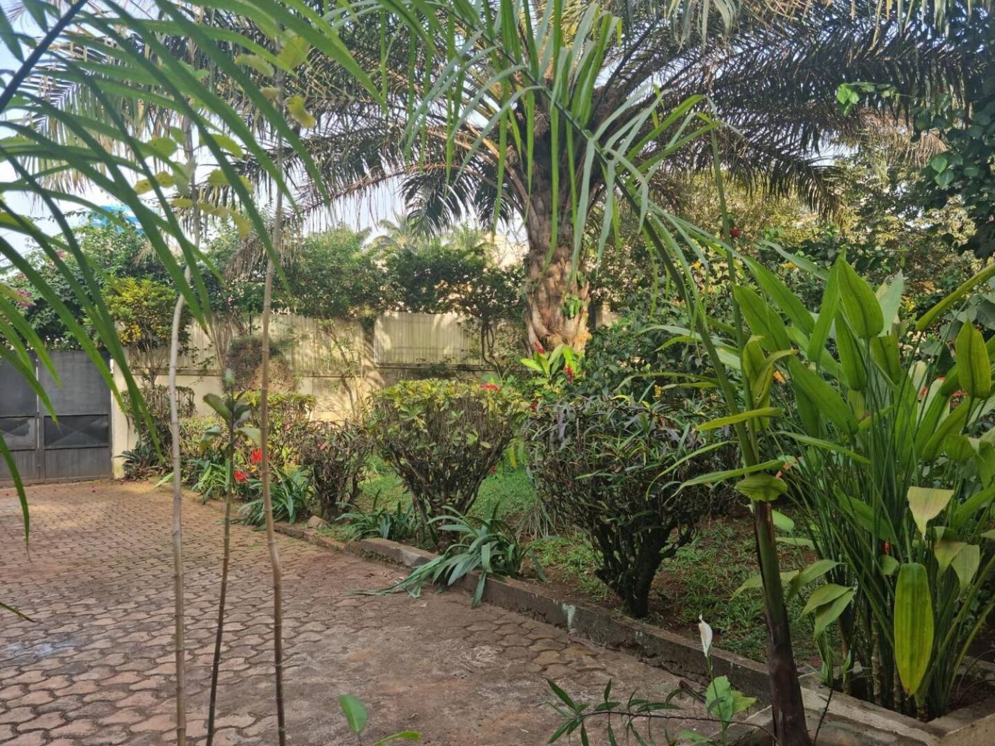 Tout confort avec jardin entrée Bastos Yaoundé Esterno foto